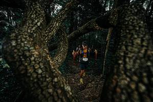 BIB: 
                            <button type="button" onclick="openModal(25693469)" class="btn btn-primary btn-sm float-right btn-popup" data-toggle="modal" data-target=".modal-high-quality">
                        <i class="fas fa-shopping-cart"></i> Add to Cart
                    </button>
                                            <button type="button" onclick="isThisMe(25693469, true)" class="btn btn-success btn-sm float-right btn-popup btn-isme hidden" data-toggle="tooltip" data-placement="bottom" title="นี่คือรูปของคุณใช่ไหม คลิกที่นี่เพื่อเอาเข้าอัลบั้ม">
                        <i class="fas fa-plus"></i> Add to album
                    </button>
                    <button type="button" onclick="isThisMe(25693469, false)" class="btn btn-warning btn-sm float-right btn-popup btn-isnotme hidden">
                        <i class="fas fa-ban"></i> Remove from album
                    </button>